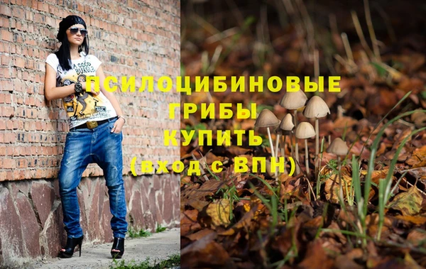 гидра Аксай
