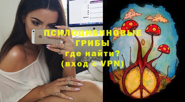 MDMA Premium VHQ Вяземский