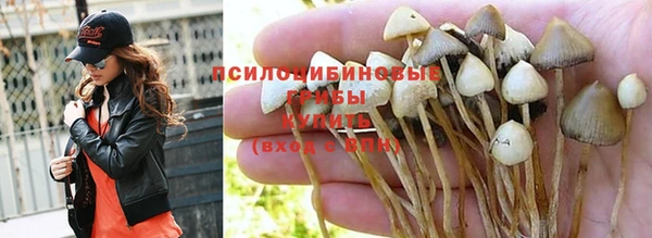 винт Алапаевск