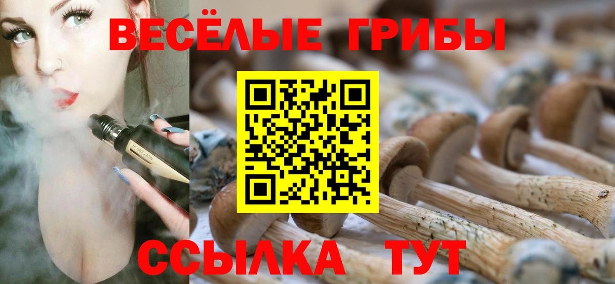 Вейп ТГК Зеленогорск