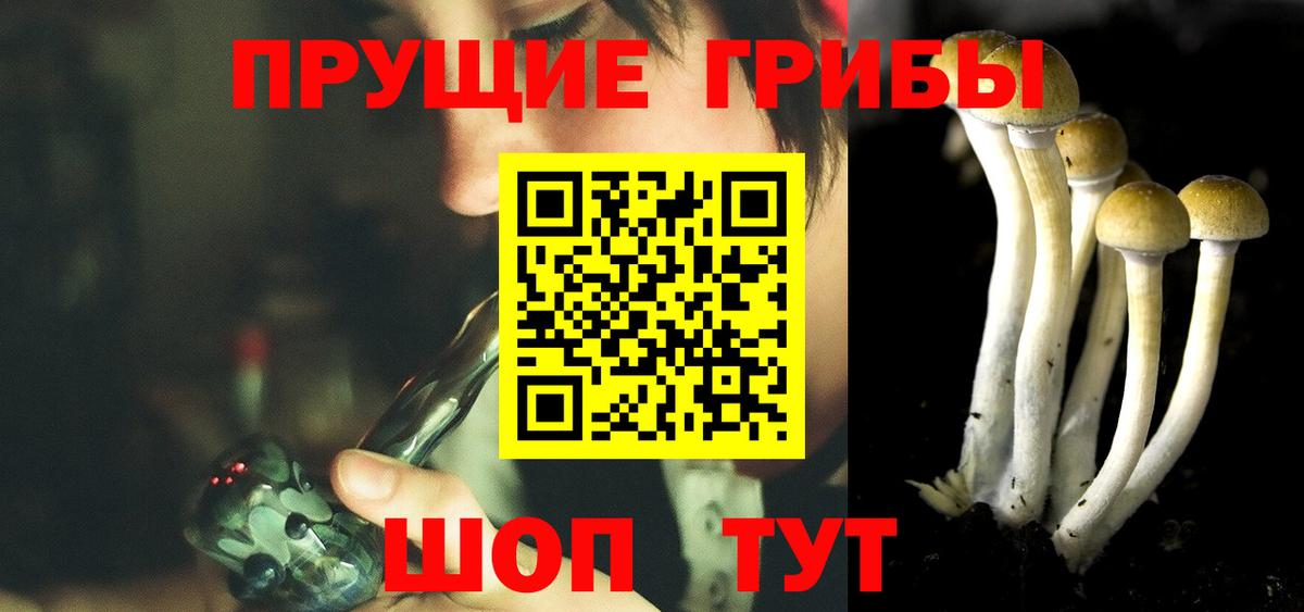 Псилоцибиновые грибы Cubensis Зеленогорск