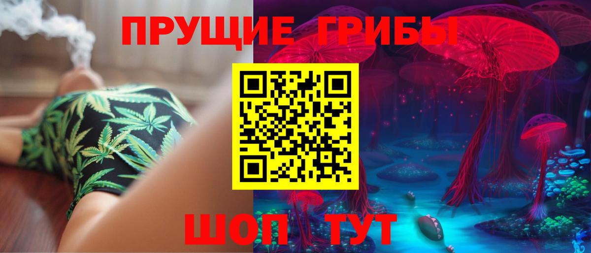 Псилоцибиновые грибы Cubensis  Галлюциногенные грибы MAGIC MUSHROOMS  Зеленогорск  Вход с VPN 