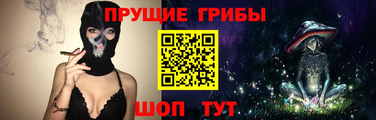 Галлюциногенные грибы MAGIC MUSHROOMS  Зеленогорск 